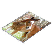 FOHLEN-BABY-PONY des PFERD2cute Notizblock (Linke Seite)