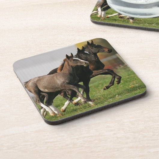 Fohlen-Betrieb Getränkeuntersetzer (Linke Seite)