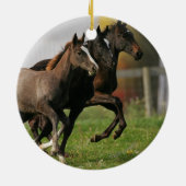 Fohlen-Betrieb Keramik Ornament (Hinten)