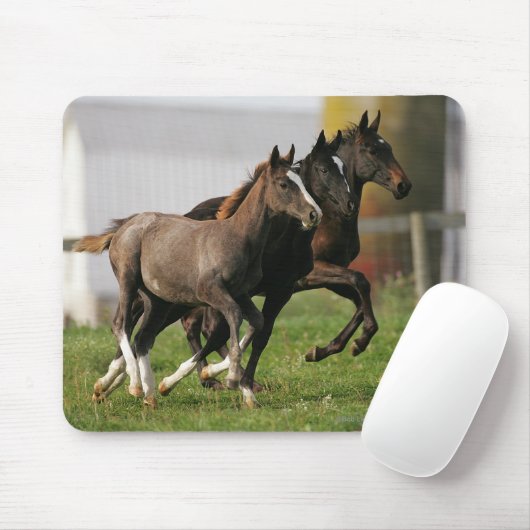 Fohlen-Betrieb Mousepad (Mit Mouse)