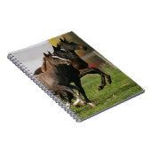 Fohlen-Betrieb Notizblock (Rechte Seite)