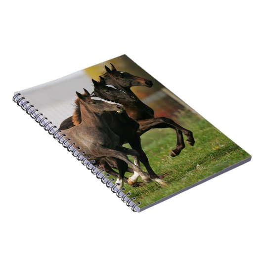 Fohlen-Betrieb Notizblock (Rechte Seite)