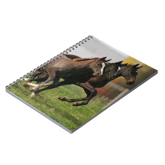 Fohlen-Betrieb Notizblock (Linke Seite)