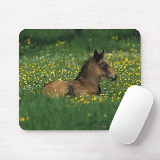 Fohlen, das in den Blumen niederlegt Mousepad (Mit Mouse)