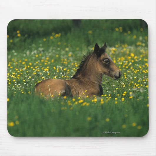 Fohlen, das in den Blumen niederlegt Mousepad (Vorne)
