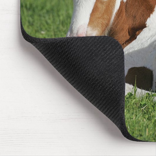 Fohlen, das in Gras legt Mousepad (Ecke)