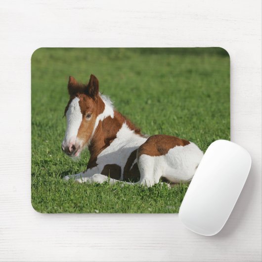 Fohlen, das in Gras legt Mousepad (Mit Mouse)