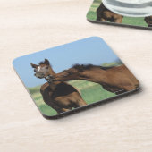 Fohlen, die 2 spielen getränkeuntersetzer (Linke Seite)