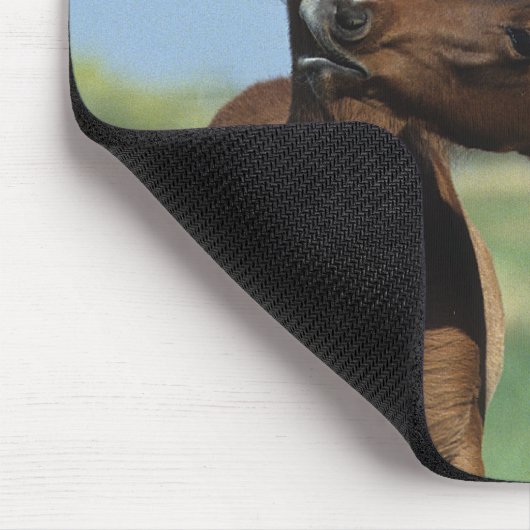 Fohlen, die 2 spielen mousepad (Ecke)