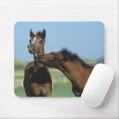 Fohlen, die 2 spielen mousepad (Mit Mouse)