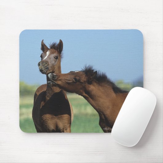 Fohlen, die 2 spielen mousepad (Mit Mouse)