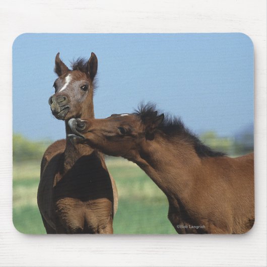 Fohlen, die 2 spielen mousepad (Vorne)