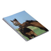 Fohlen, die 2 spielen notizblock (Rechte Seite)