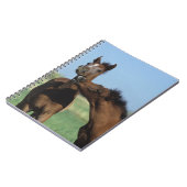 Fohlen, die 2 spielen notizblock (Linke Seite)