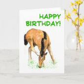 "Fohlen-" Geburtstags-Karte Karte (Gelbe Blume)