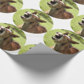 FOHLEN GESCHENKPAPIER (Ecke)