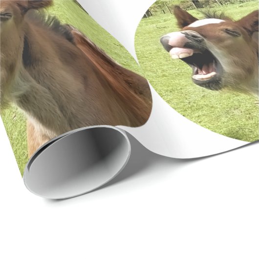 FOHLEN GESCHENKPAPIER (Rolleneckpunkt)