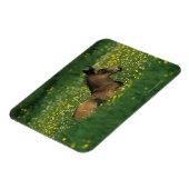 Fohlen in Blume Magnet (Linke Seite)