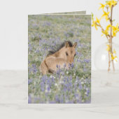 Fohlen in Lupine Wild Horse Grußkarte Karte (Gelbe Blume)
