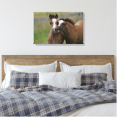 Fohlen Leinwanddruck (Insitu (Schlafzimmer))