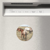 Fohlen Magnet (In Situ (Geschirrspüler))