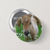 Fohlen-riechender Gänseblümchen-runder Knopf Button (Vorne & Hinten)