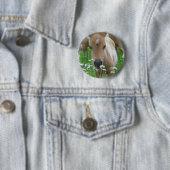 Fohlen-riechender Gänseblümchen-runder Knopf Button (Beispiel)
