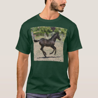 Fohlen-Scherz T-Shirt