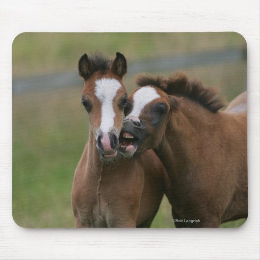 Fohlen-Spielen Mousepad (Vorne)