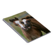 Fohlen-Spielen Notizblock (Rechte Seite)