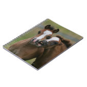 Fohlen-Spielen Notizblock (Linke Seite)