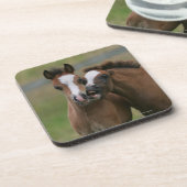 Fohlen-Spielen Untersetzer (Linke Seite)