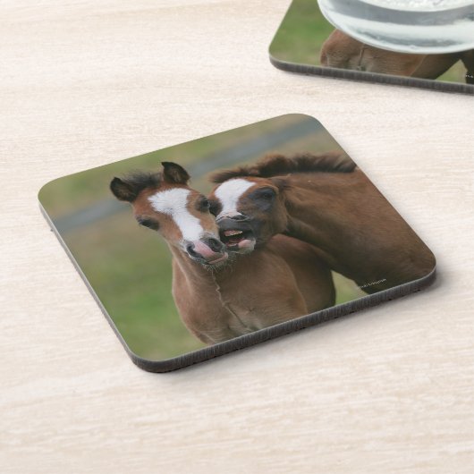 Fohlen-Spielen Untersetzer (Linke Seite)