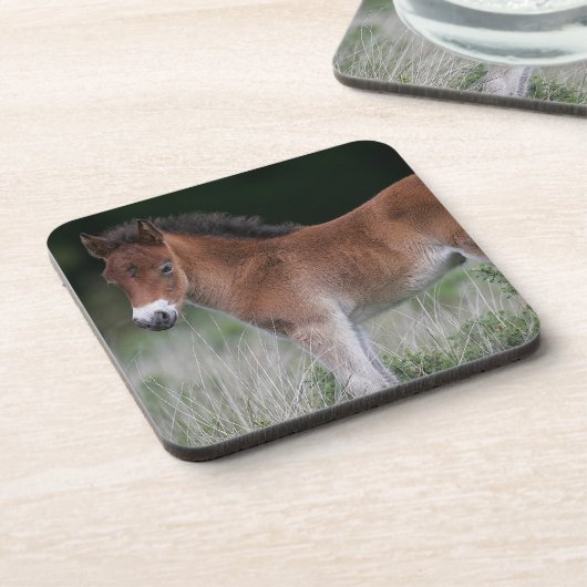 Fohlen stehend getränkeuntersetzer (Linke Seite)