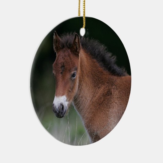 Fohlen stehend keramik ornament (Rechts)