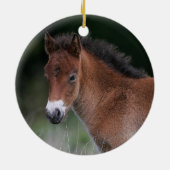 Fohlen stehend keramik ornament (Hinten)