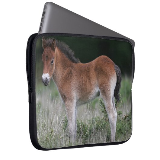 Fohlen stehend laptopschutzhülle (Vorne Rechts)