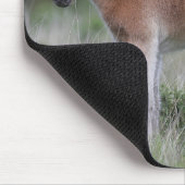 Fohlen stehend mousepad (Ecke)