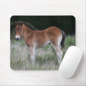 Fohlen stehend mousepad (Mit Mouse)