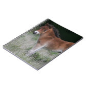 Fohlen stehend notizblock (Linke Seite)