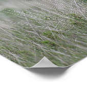 Fohlen Stehend Poster (Ecke)