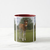 Fohlen-Tasse Tasse (Zentrum)