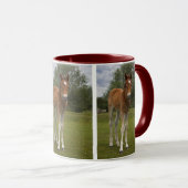 Fohlen-Tasse Tasse (VorderseiteRechts)