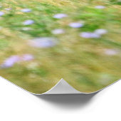 Fohlen und Blume Poster (Ecke)