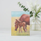 Fohlen und Mare Horse Postkarte (Stehend Vorderseite)