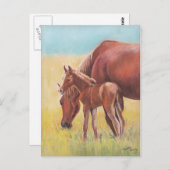 Fohlen und Mare Horse Postkarte (Vorne/Hinten)