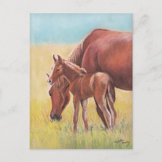 Fohlen und Mare Horse Postkarte (Vorderseite)