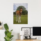 Fohlendruck Poster (Heimbüro)