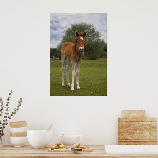 Fohlendruck Poster (Küche)