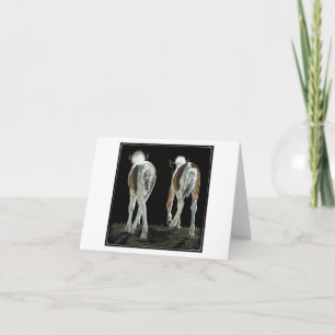 Fohlenkarte "Beginning Line Dancing" Karte